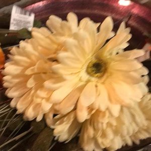 Meet your Posher, Jean